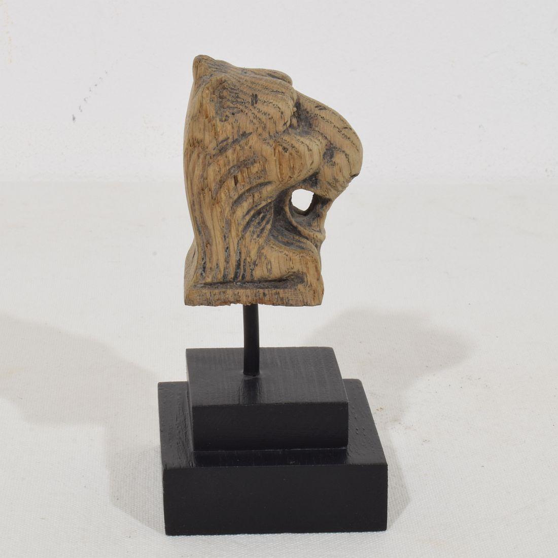 Kleines Fragment eines geschnitzten Eichenlöwen aus dem 17. bis 18. (Handgeschnitzt) im Angebot