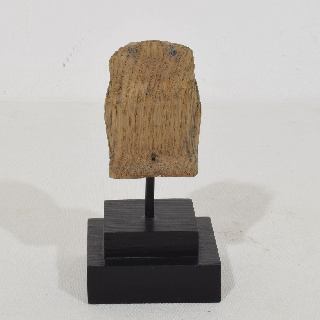 Kleines Fragment eines geschnitzten Eichenlöwen aus dem 17. bis 18. im Zustand „Gut“ im Angebot in Buisson, FR