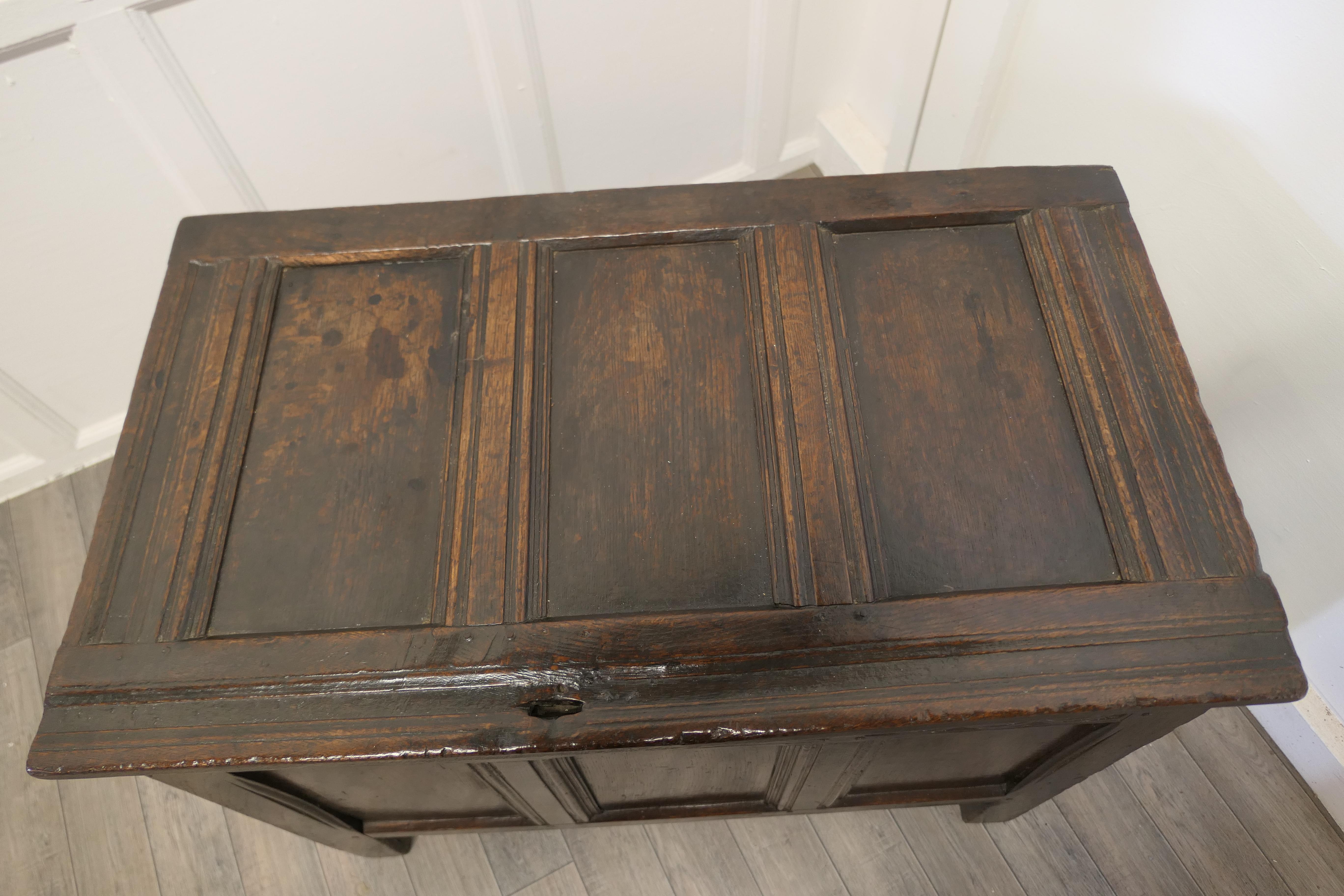 Small 17th century Panelled Cottage Size Oak Coffer     2