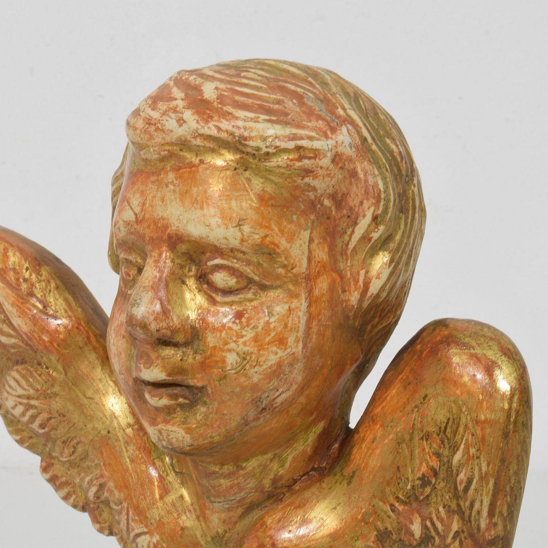 Kleiner geschnitzter Engelskopf mit Flügeln aus Giltwood im französischen Barock des 18. im Angebot 5