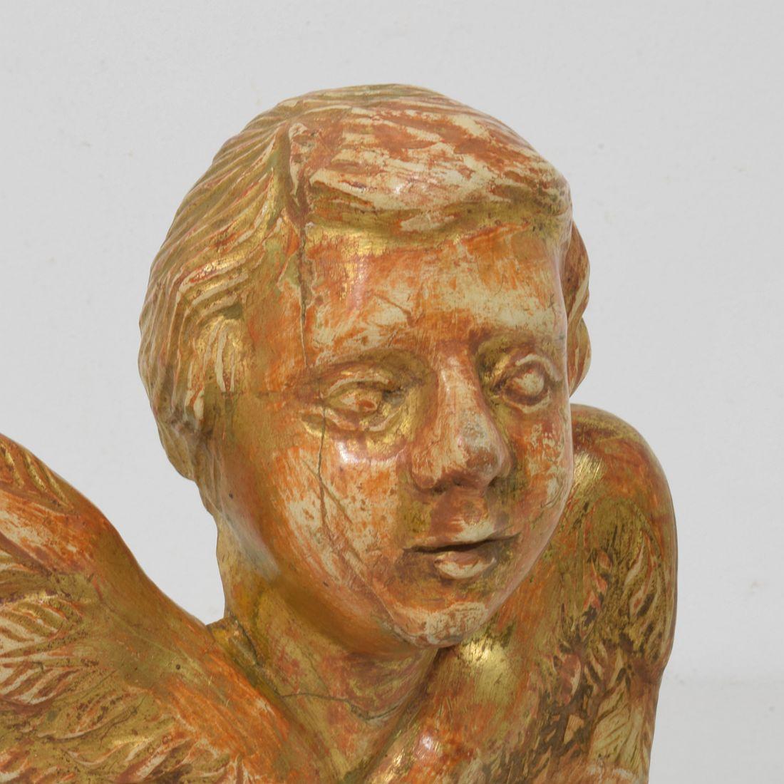 Kleiner geschnitzter Engelskopf mit Flügeln aus Giltwood im französischen Barock des 18. im Angebot 6