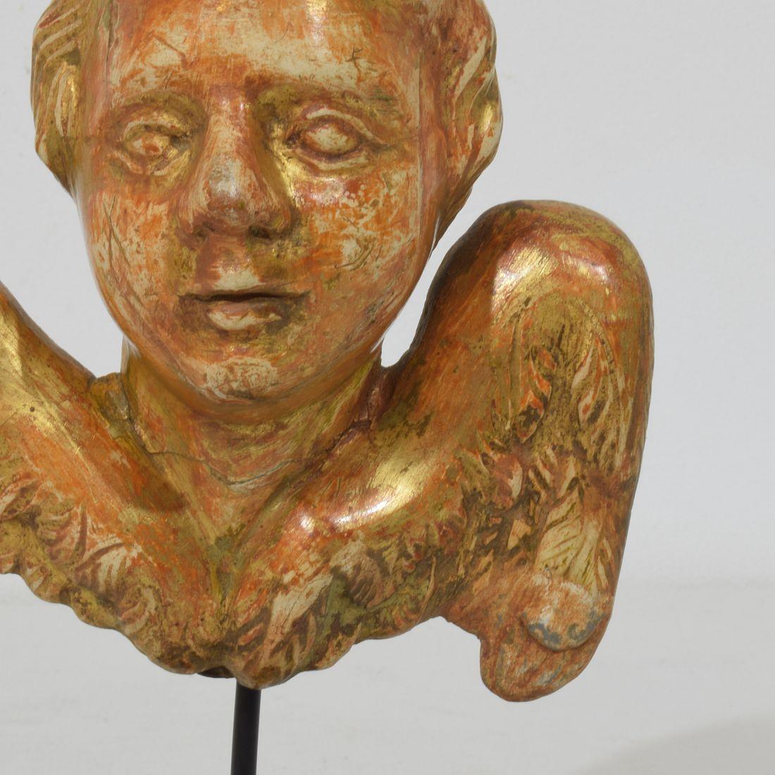Kleiner geschnitzter Engelskopf mit Flügeln aus Giltwood im französischen Barock des 18. im Angebot 8