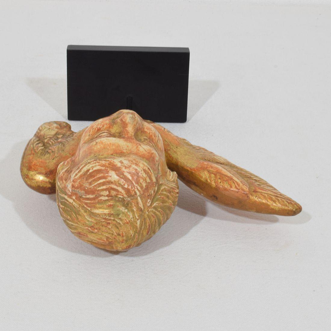 Kleiner geschnitzter Engelskopf mit Flügeln aus Giltwood im französischen Barock des 18. im Angebot 10