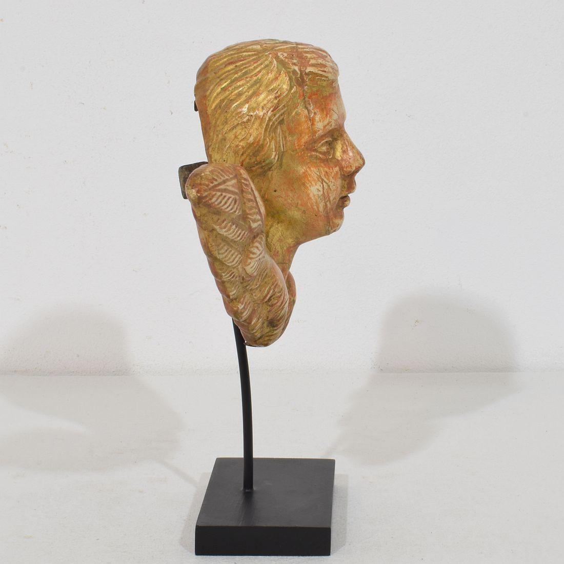 Kleiner geschnitzter Engelskopf mit Flügeln aus Giltwood im französischen Barock des 18. (Handgeschnitzt) im Angebot
