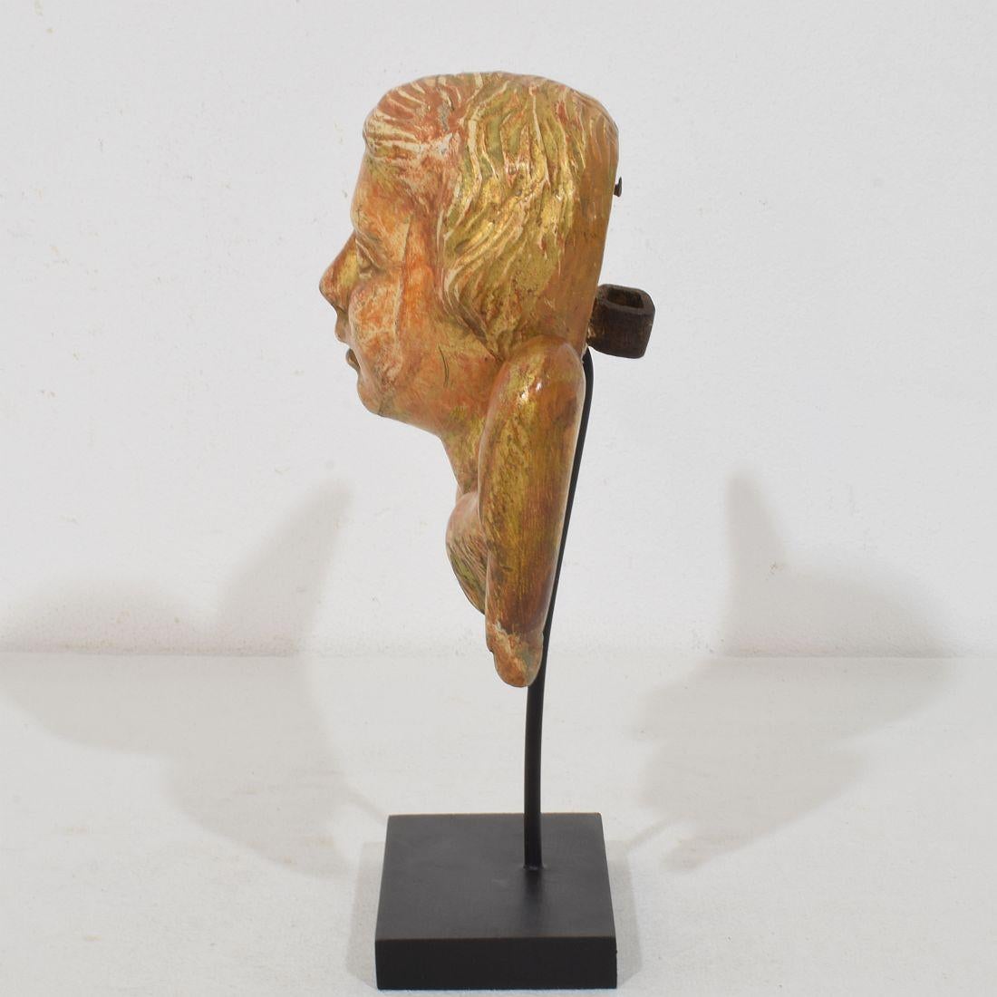 Kleiner geschnitzter Engelskopf mit Flügeln aus Giltwood im französischen Barock des 18. (18. Jahrhundert und früher) im Angebot