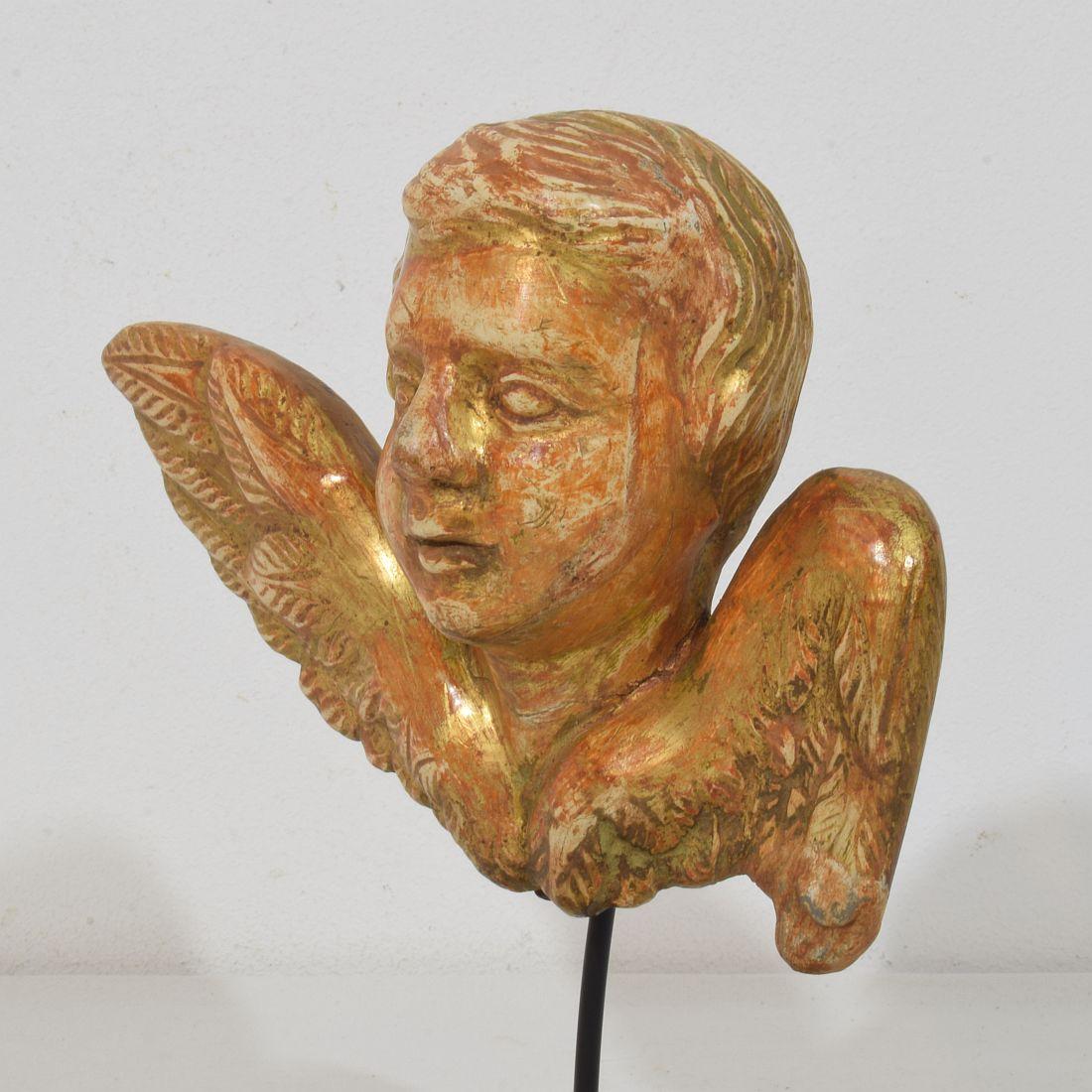 Kleiner geschnitzter Engelskopf mit Flügeln aus Giltwood im französischen Barock des 18. im Angebot 1