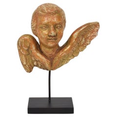Pequeña cabeza de ángel de madera dorada tallada barroca francesa del siglo XVIII con alas