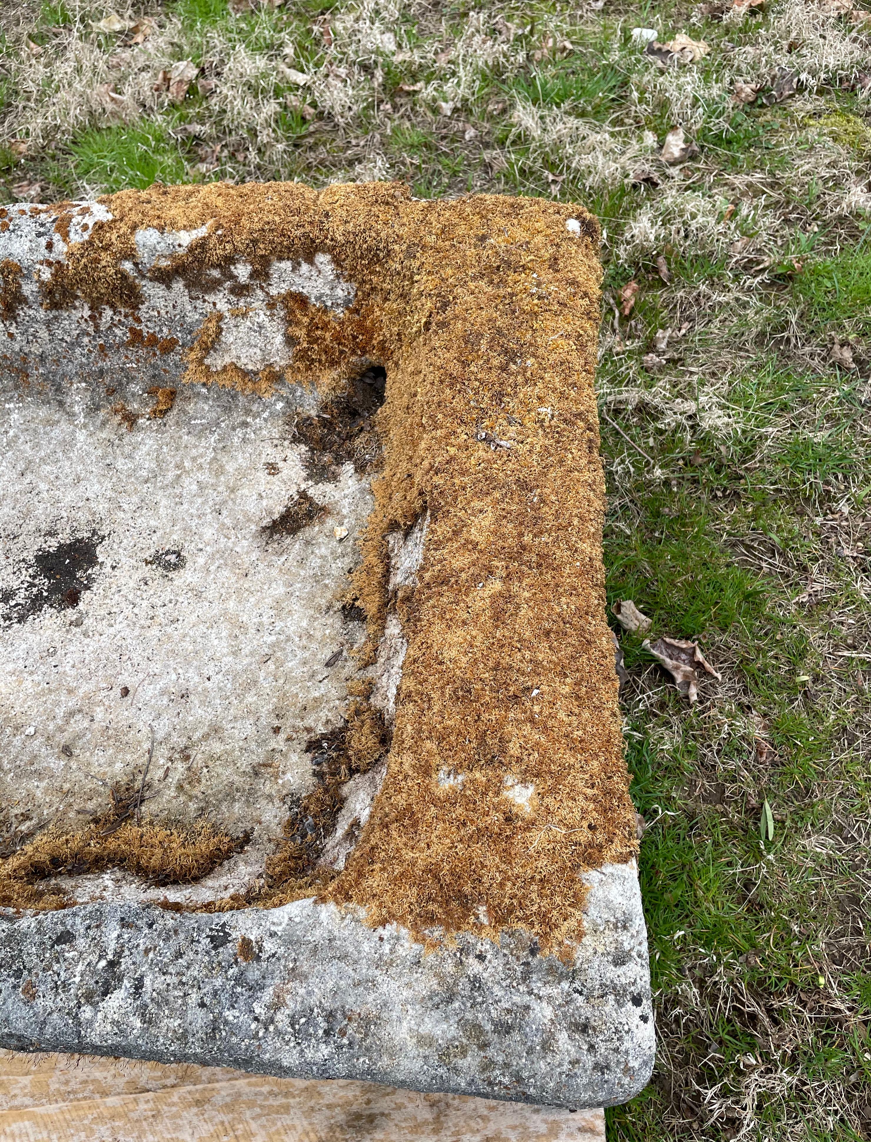 Small 18th Century French Hand-Carved Limestone Trough with Moss 10