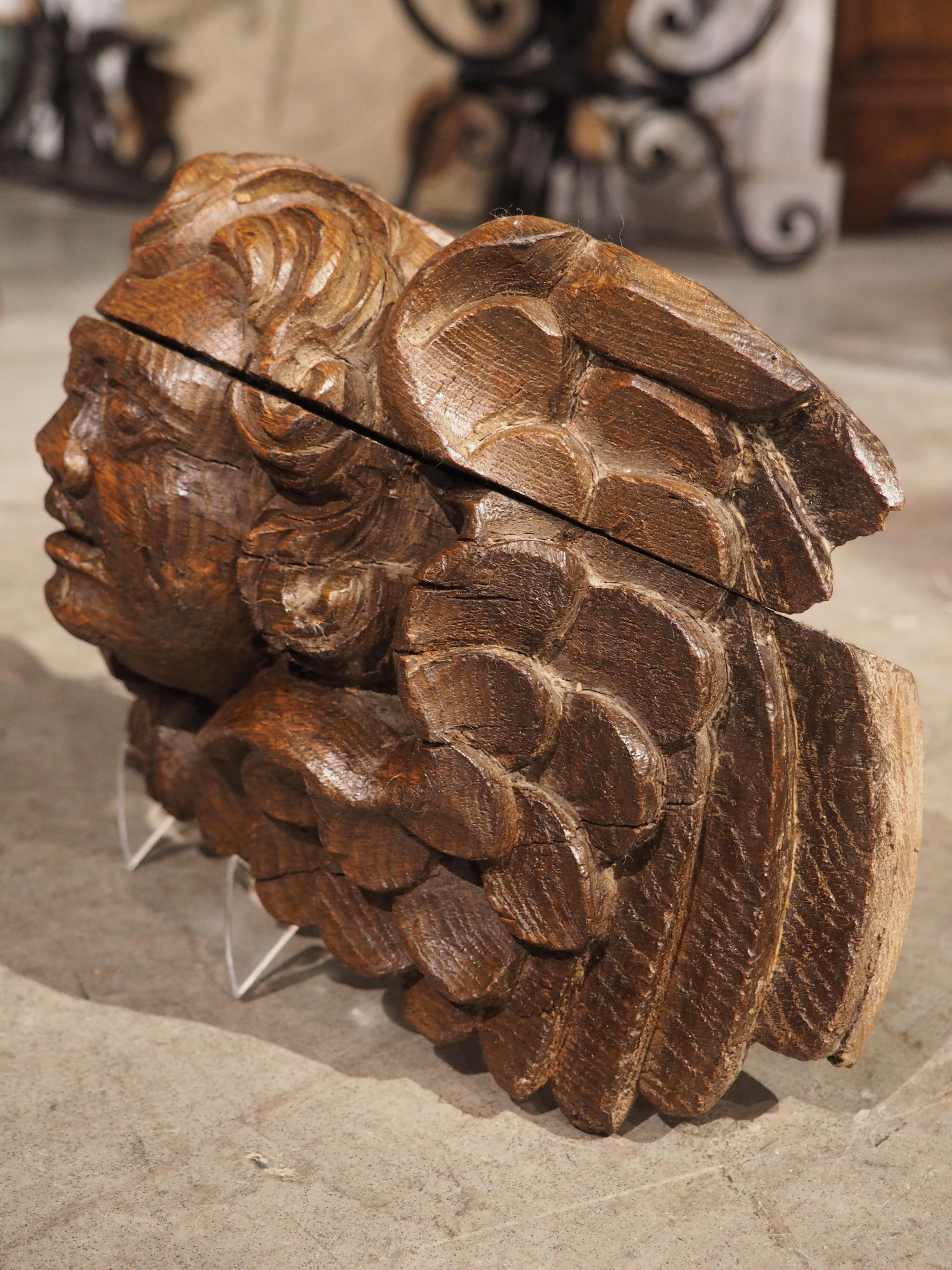Small 18th Century French Winged Cherub in Carved Oak 1