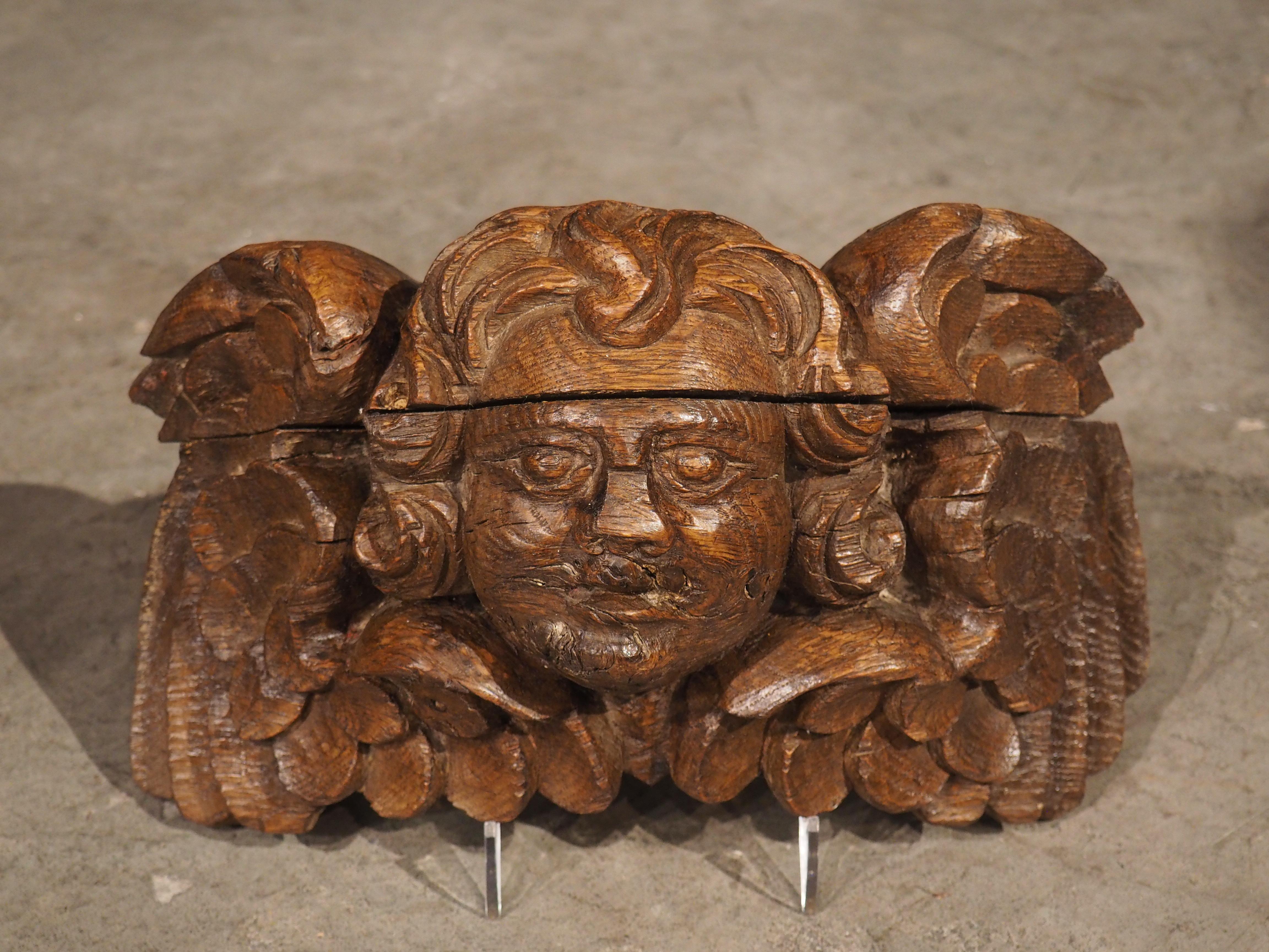 Small 18th Century French Winged Cherub in Carved Oak 3
