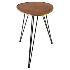 Small 1960s Teak Plant or Side Table in Teak & Wire-Steel - Guitar Pick Shape