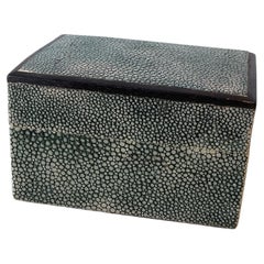 Kleine 1990er R & Y Augousti Shagreen Box