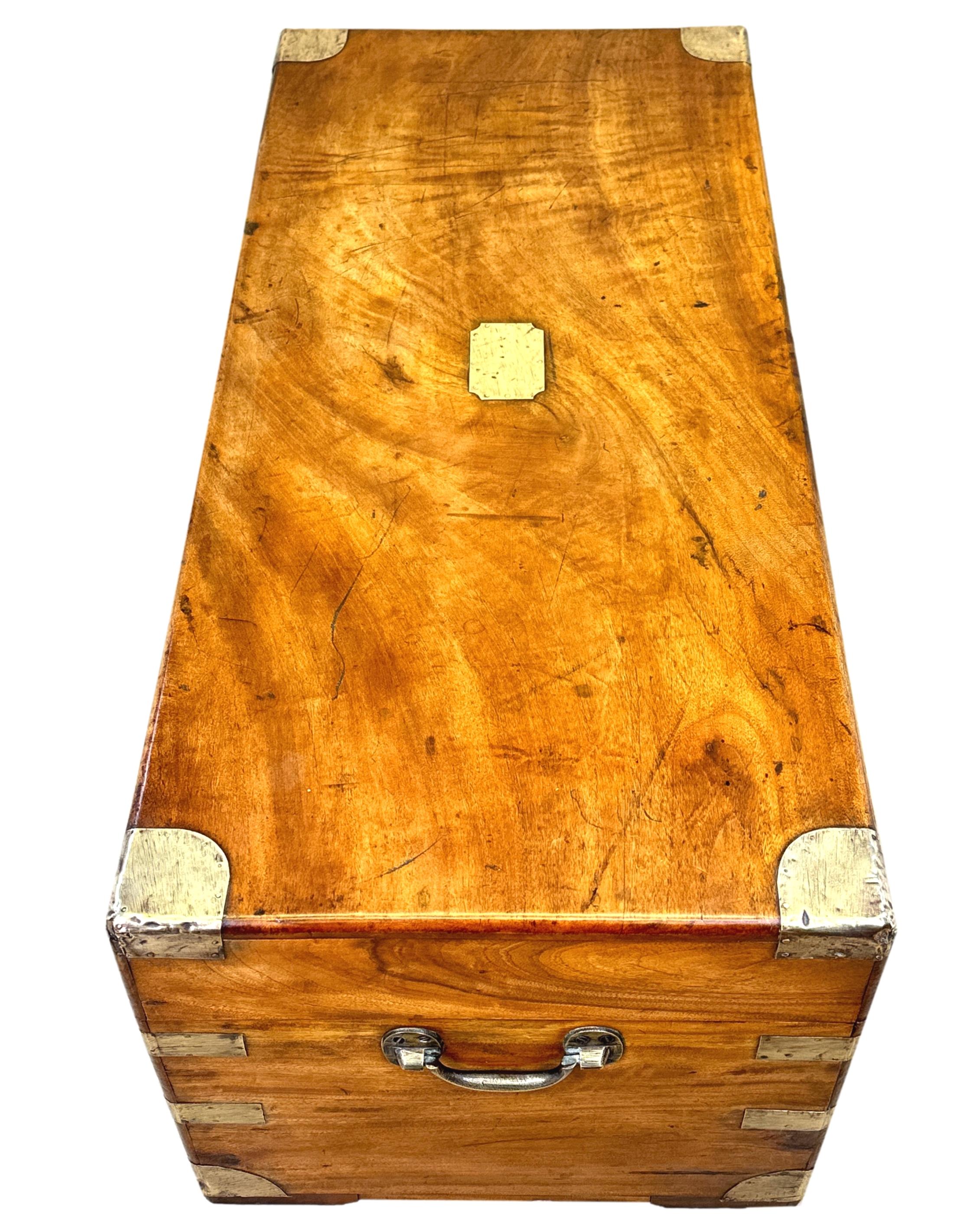 English Small 19th Century Camphor Wood Campaign Trunk For Sale