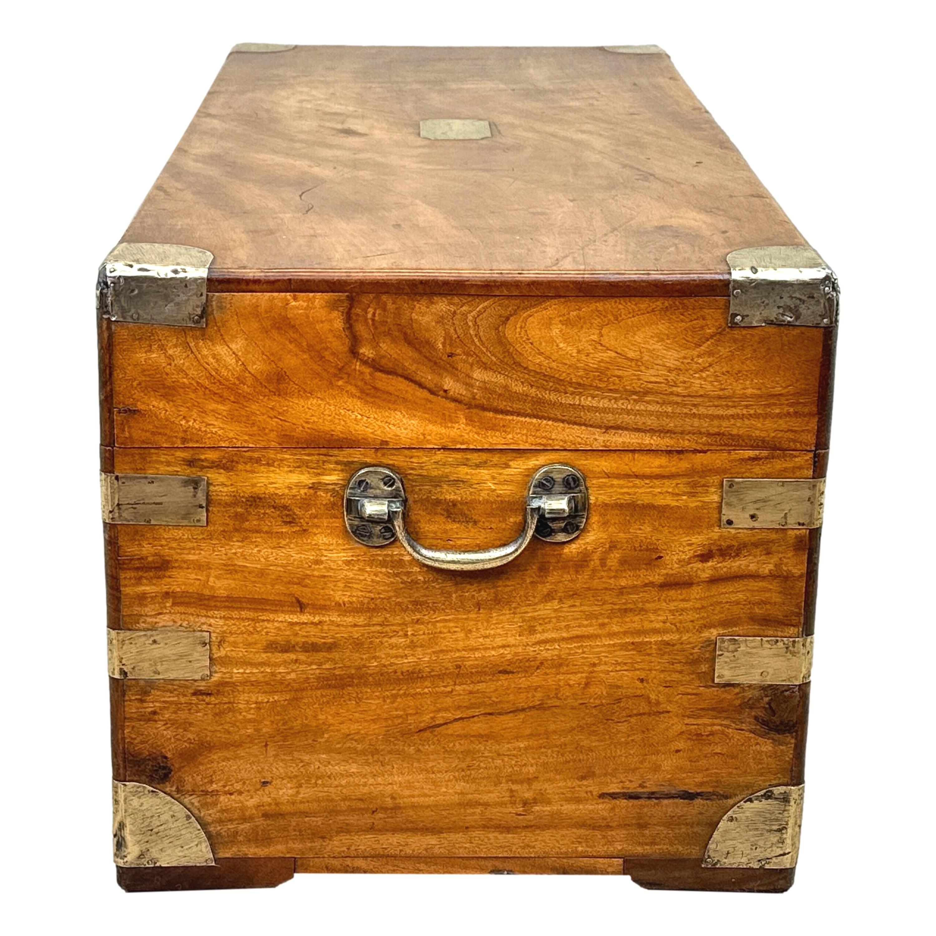 Other Small 19th Century Camphor Wood Campaign Trunk For Sale