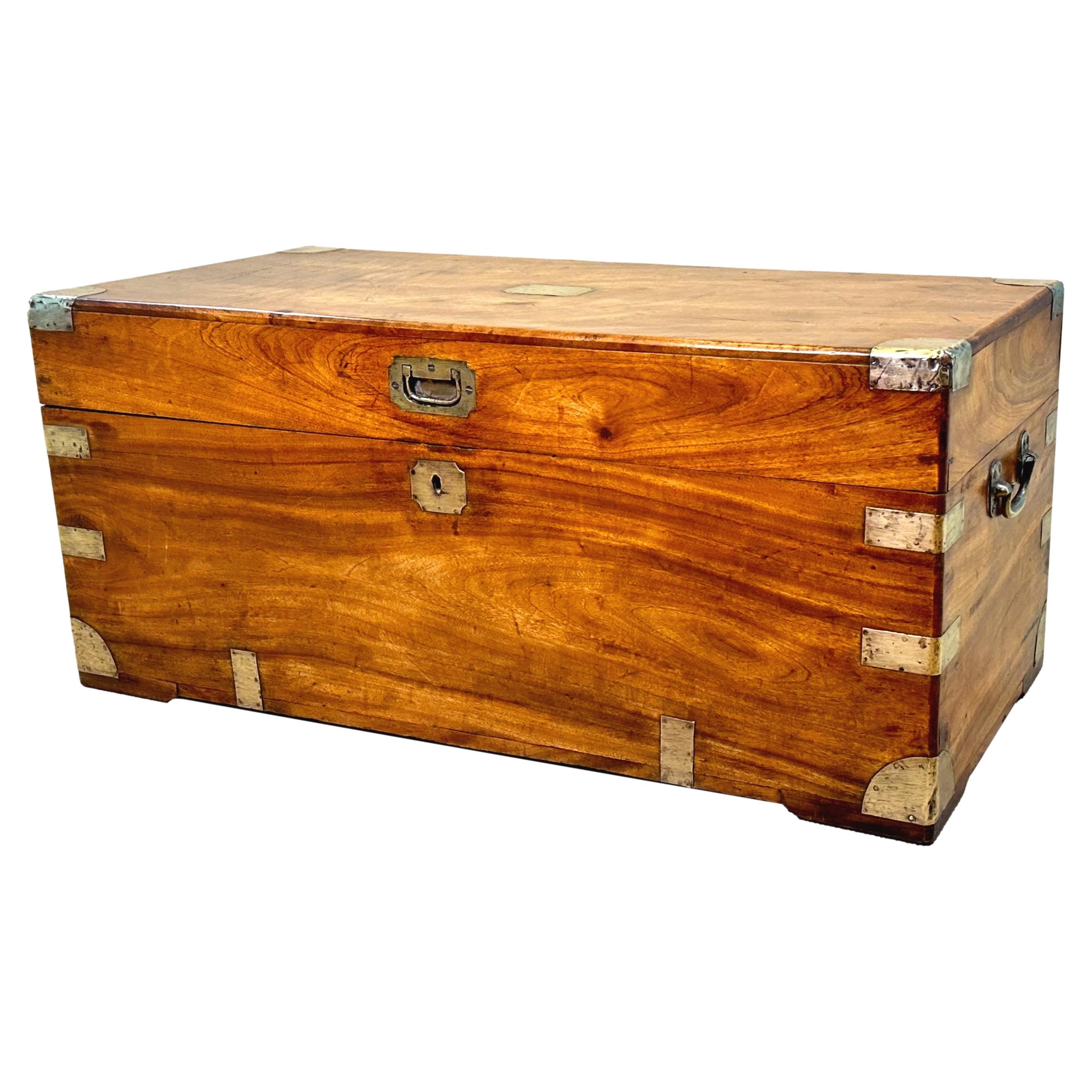 Small 19th Century Camphor Wood Campaign Trunk For Sale