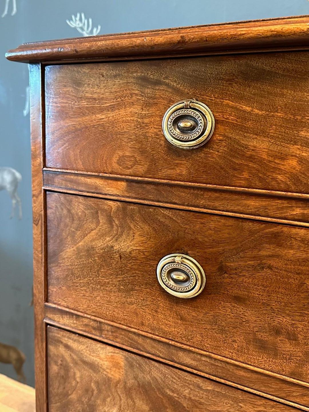 Early Victorian Small 19th Century chest of drawers For Sale