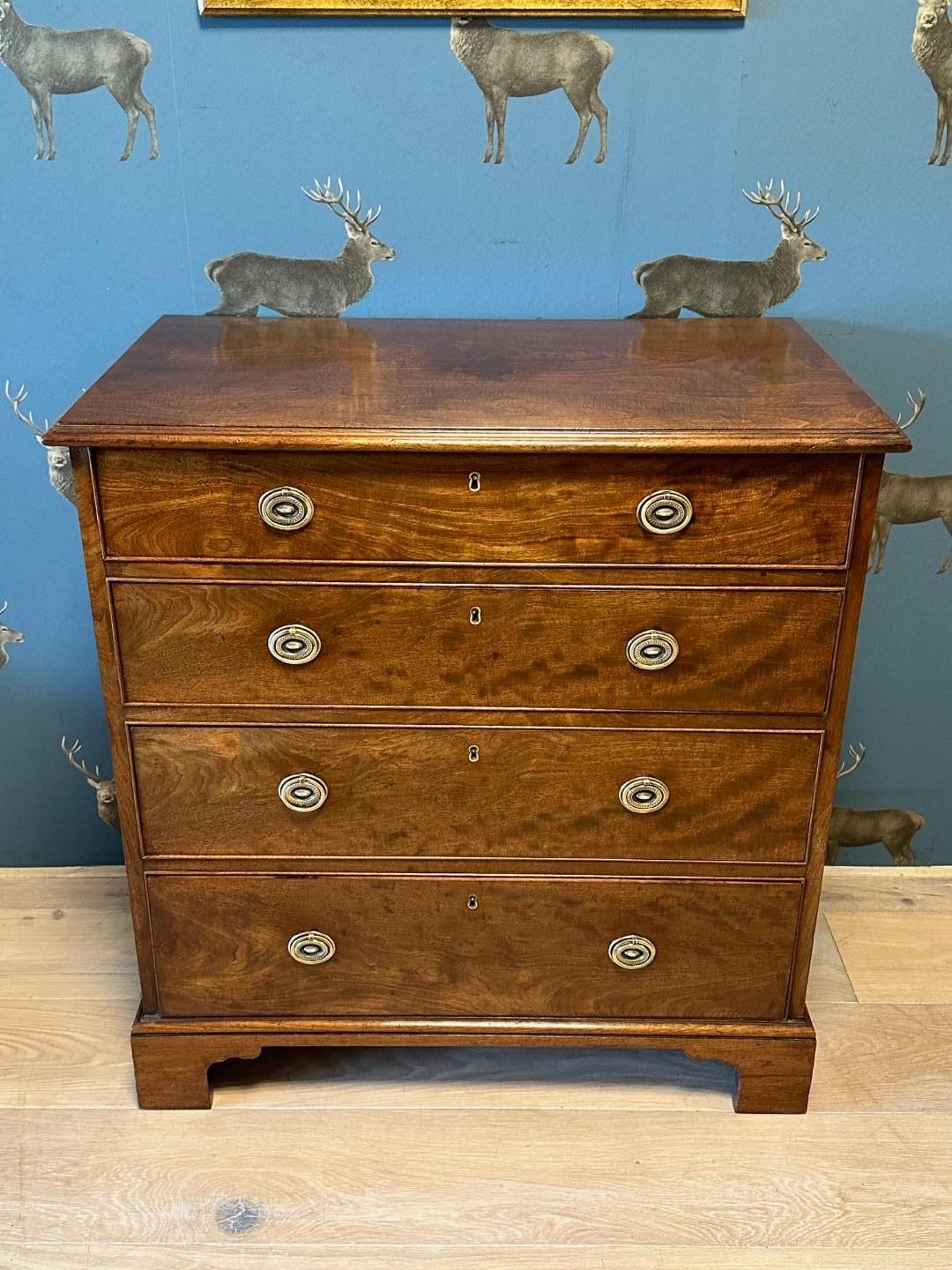 Mahogany Small 19th Century chest of drawers For Sale