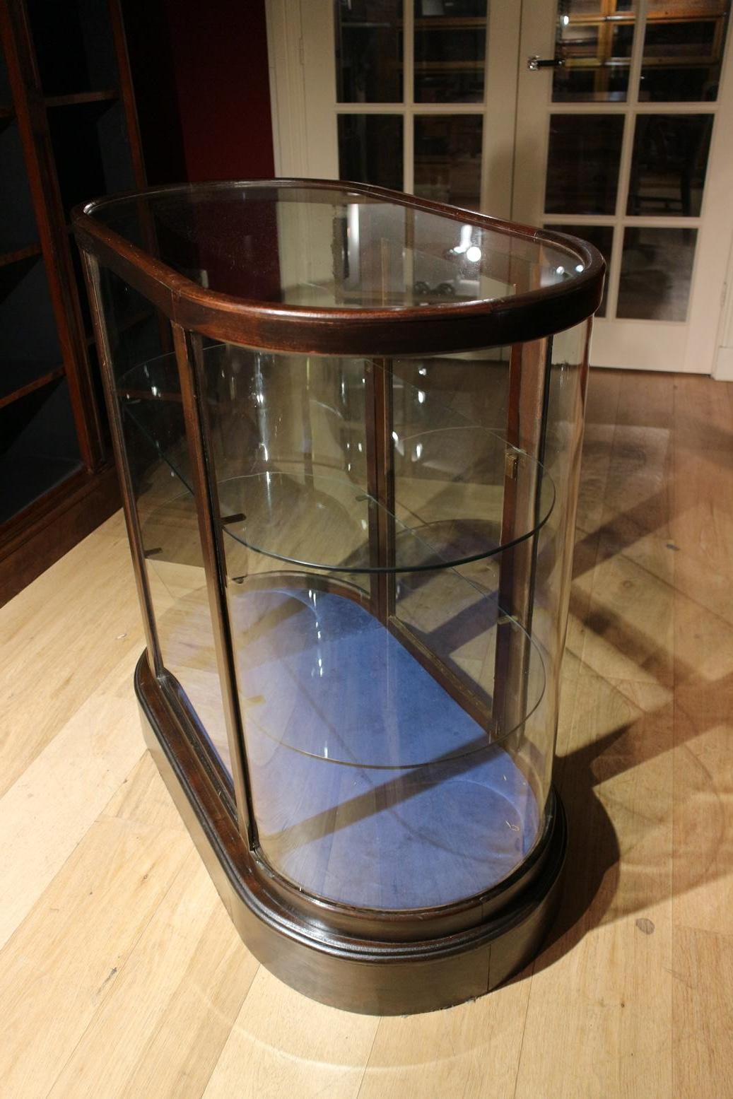 Early 20th Century Small 19th Century Display Cabinet