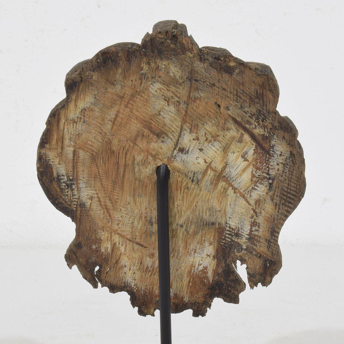 Piccola testa di leone in legno di Oak francese del XIX secolo in vendita 4