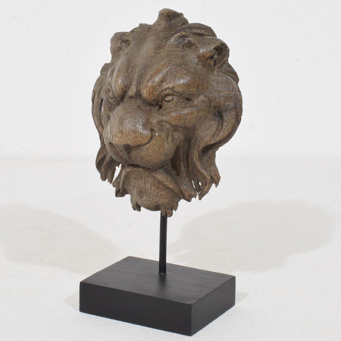 Bellissima testa di leone in quercia intagliata a mano con una forte espressione...
Meraviglioso pezzo d'epoca con un bellissimo aspetto invecchiato.
Francia circa 1850-1900
Le misure includono la base in legno.
H. H. 16cm  L:9cm P:6cm 