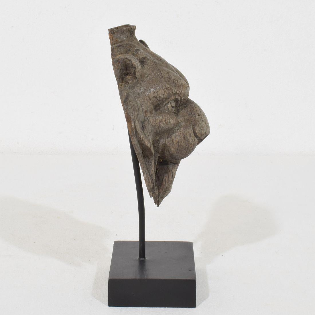 Intagliato a mano Piccola testa di leone in legno di Oak francese del XIX secolo in vendita