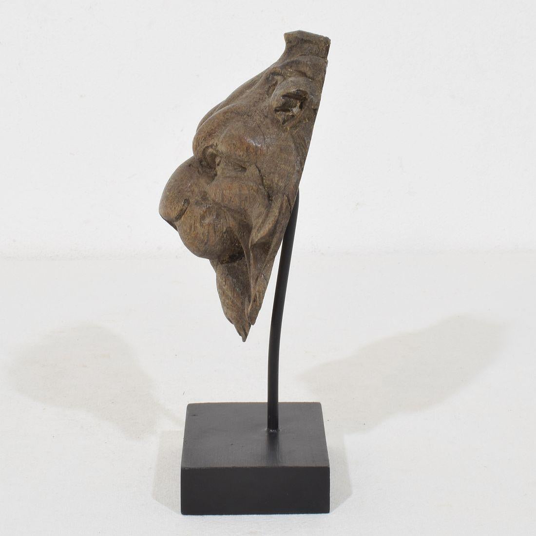 Quercia Piccola testa di leone in legno di Oak francese del XIX secolo in vendita