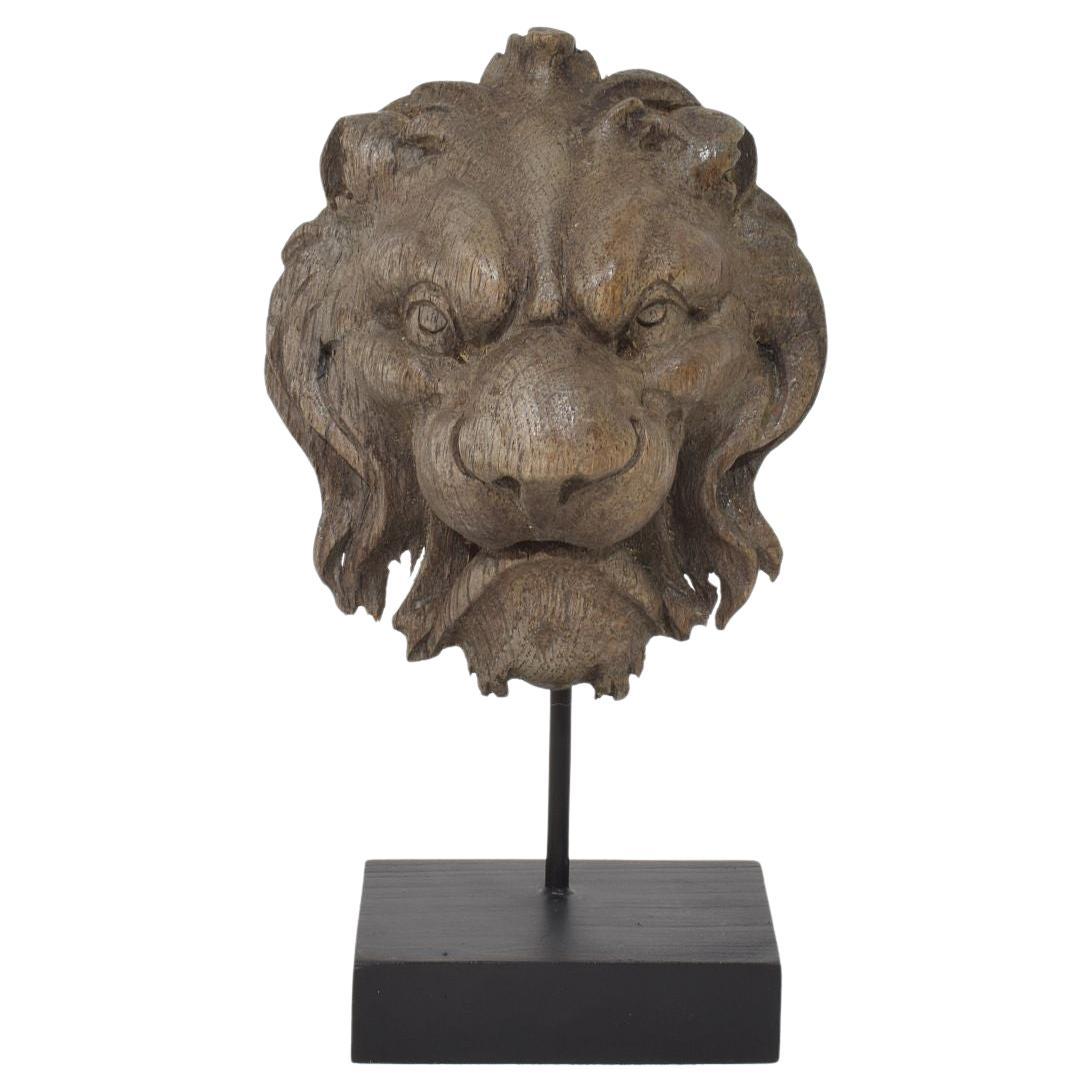 Petite tête de lion en chêne français sculpté du 19e siècle