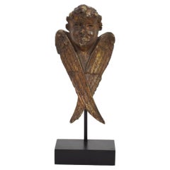 Small 19th Century French Carved Wood Winged Angel Head