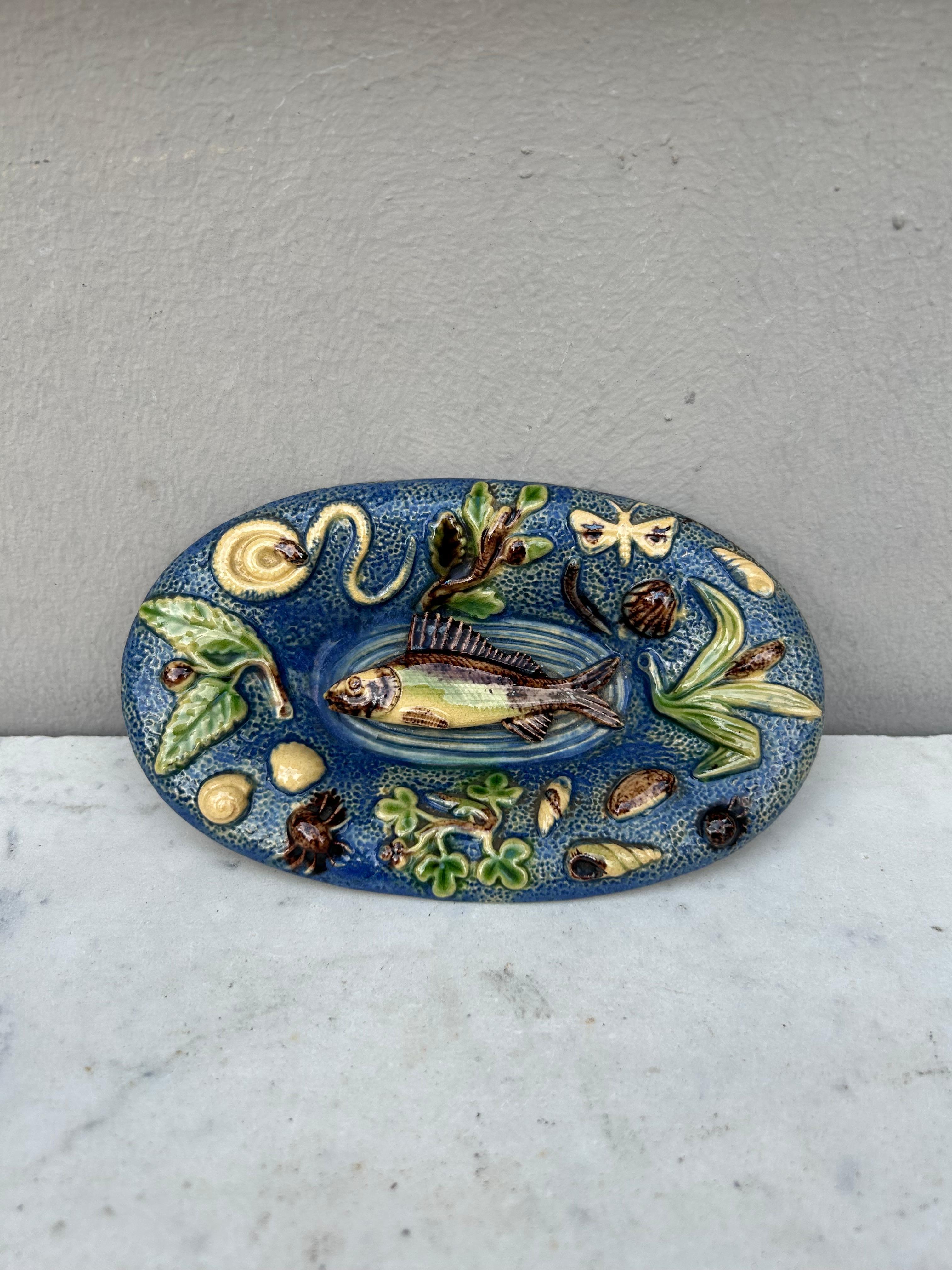 French small Palissy platter with a fish,plants,shells,bugs,snake,butterfly attributed to Thomas Sergent.
