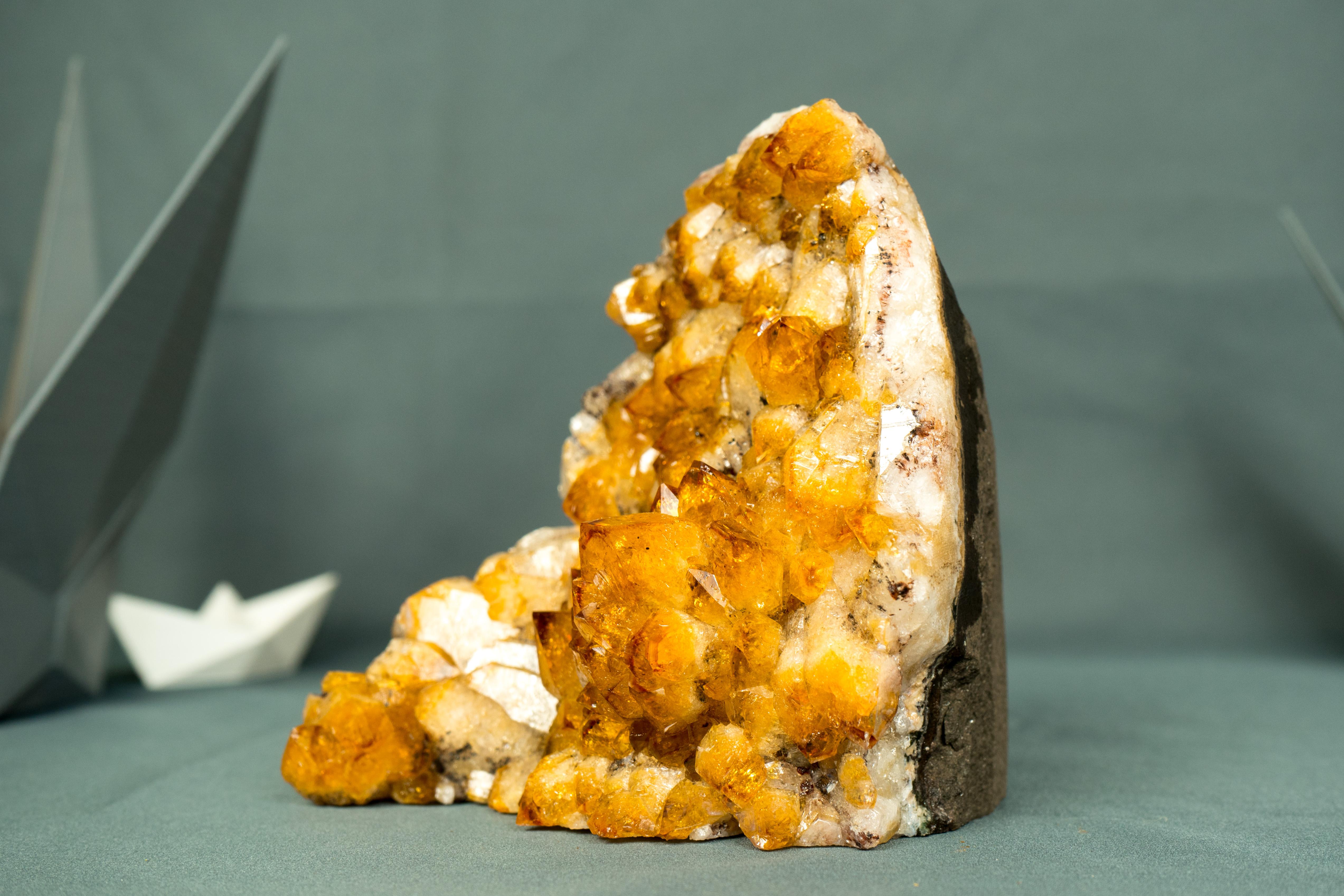 Small AAA Citrine Cluster with Sparkly Golden Orange Druzy & Rare Intact Flower In New Condition For Sale In Ametista Do Sul, BR