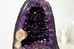 Kleine AAA-Grad Amethyst Geode mit Gemmy "Grape Jelly" Lila