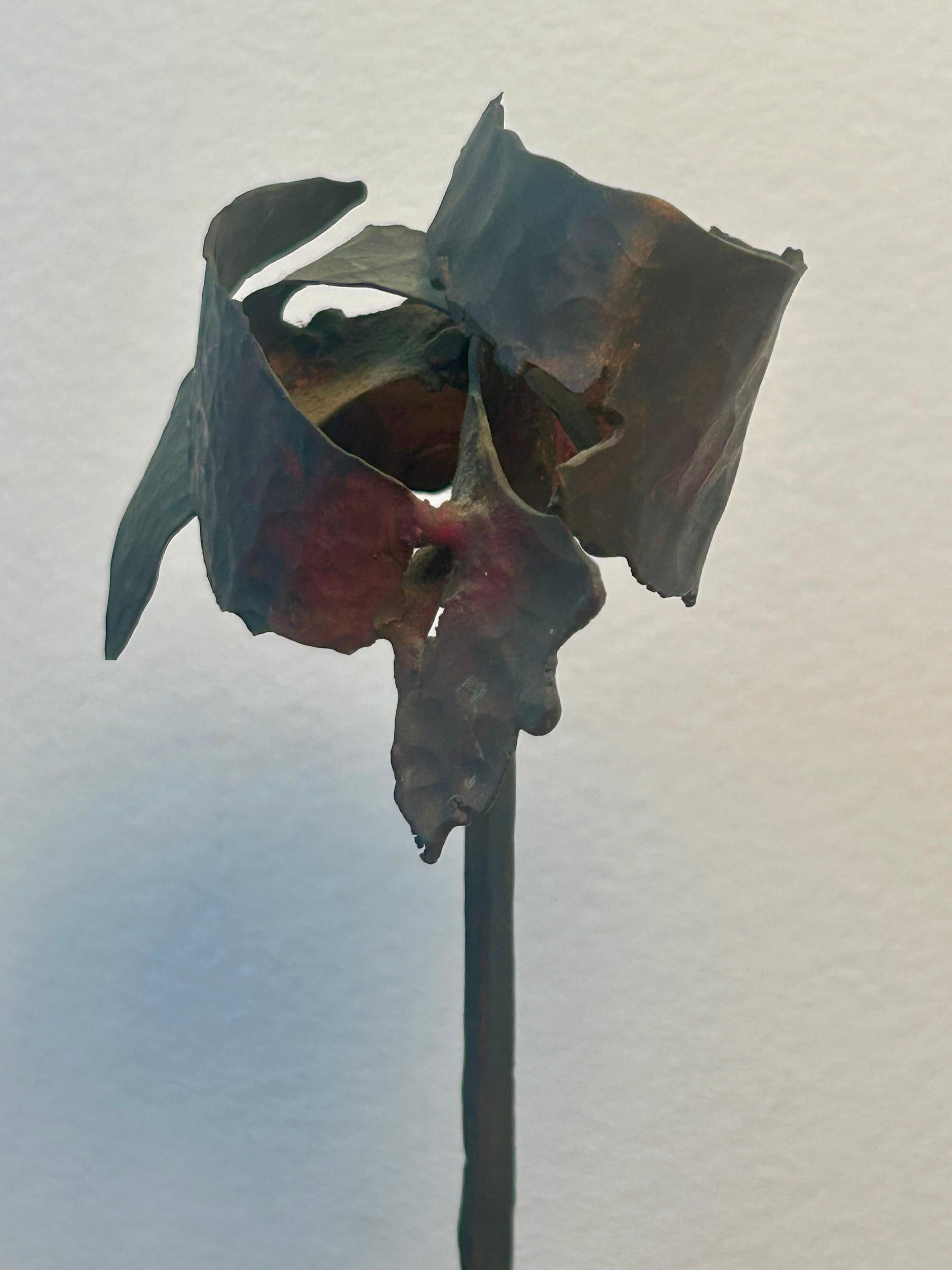 Œuvre d'art originale.
Unique en son genre.
Bandes de bronze martelées et soudées sur une base en bois.
Idéal pour la décoration et les collections d'art moderne. 
Pas de signature. 