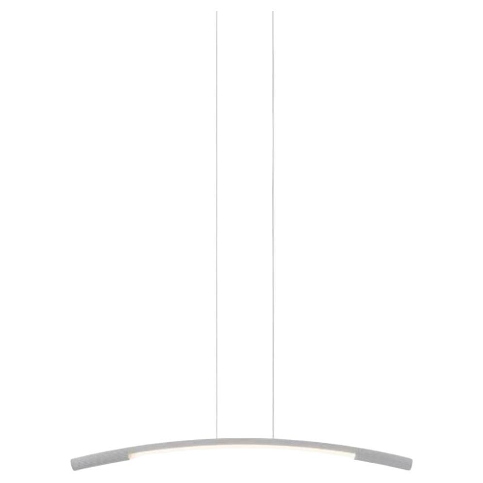 Small Aluminum Palo Pendant Lamp by Wentz For Sale