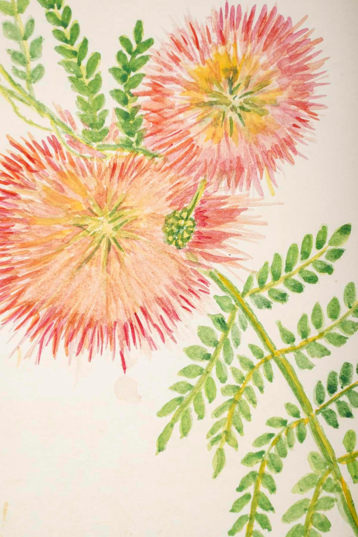 Petit  Aquarelle américaine de fleurs, 20e siècle.

Aquarelle américaine du 20e siècle représentant des fleurs, datée de 1962.
H : 23cm, L : 15cm, D : 0,2cm
