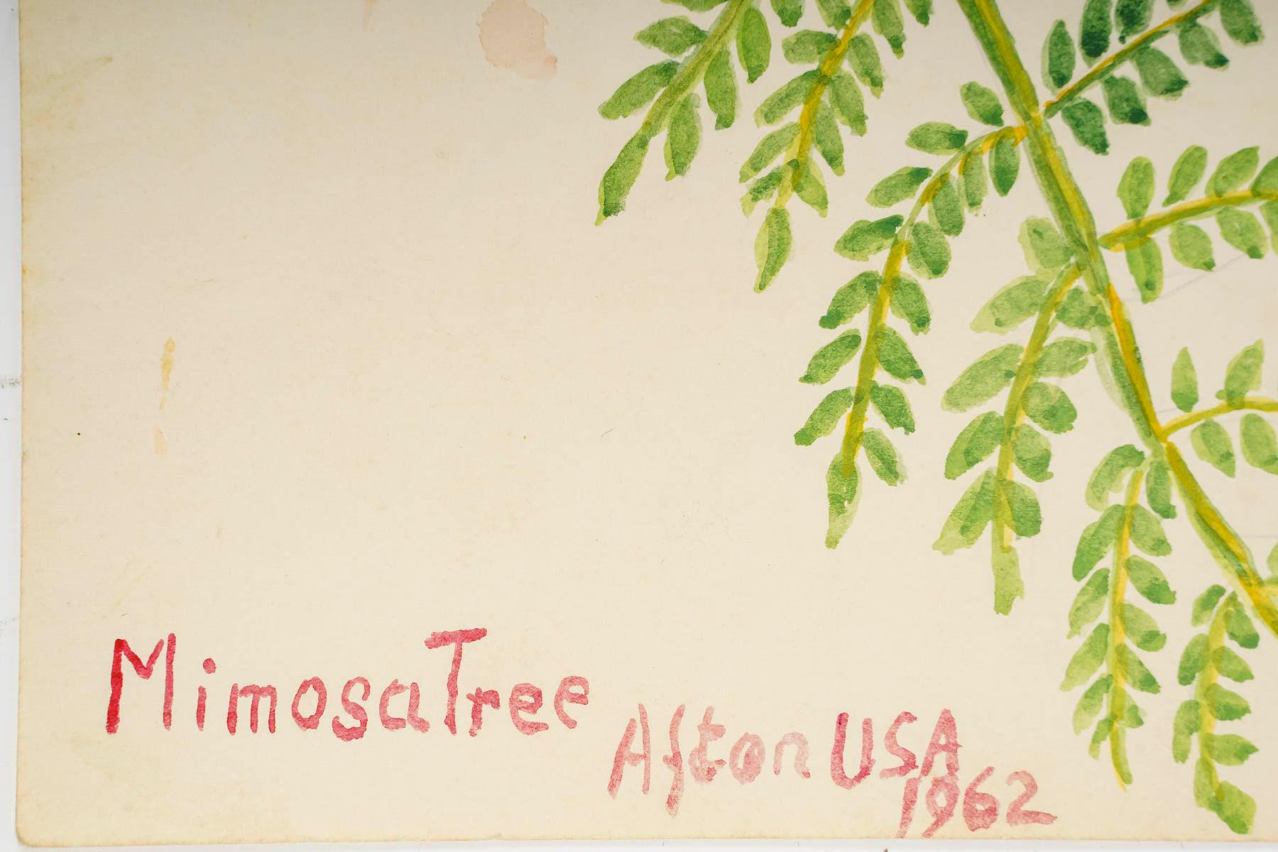 Mid-Century Modern Petit  Aquarelle américaine des aiguières, 20e siècle. en vente