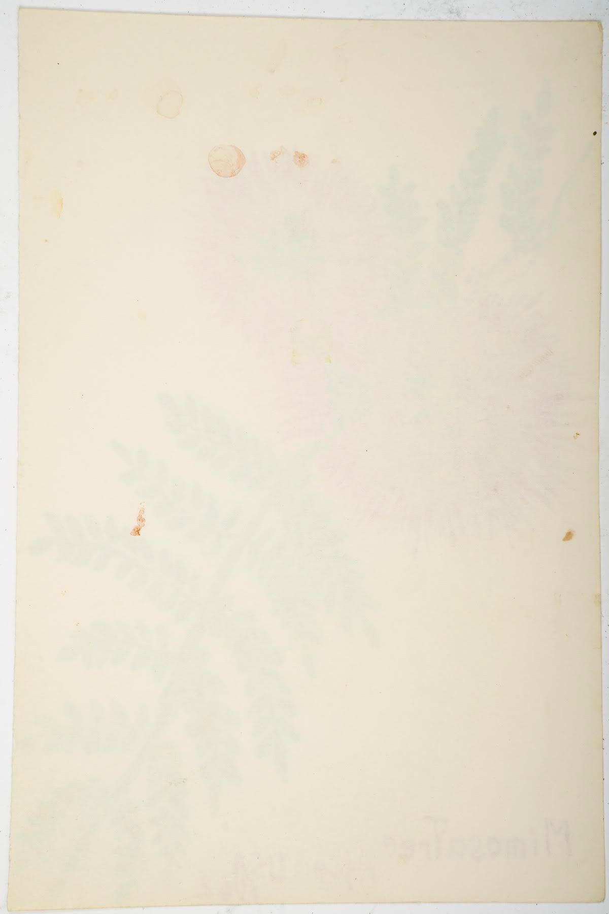 Américain Petit  Aquarelle américaine des aiguières, 20e siècle. en vente