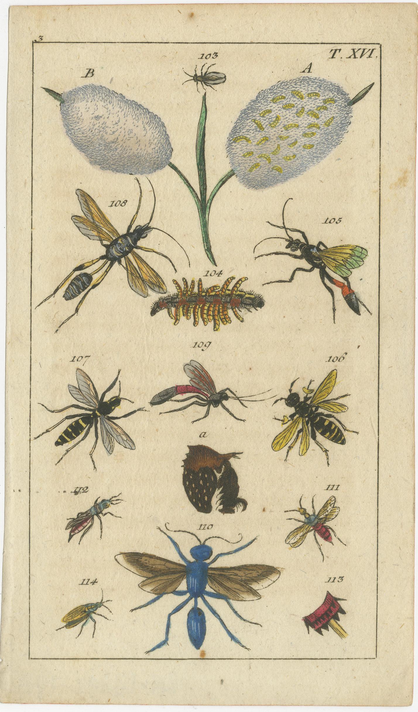 Small and Rare Natural History Prints Featuring Insects and Plants, 1832 In Good Condition For Sale In Langweer, NL