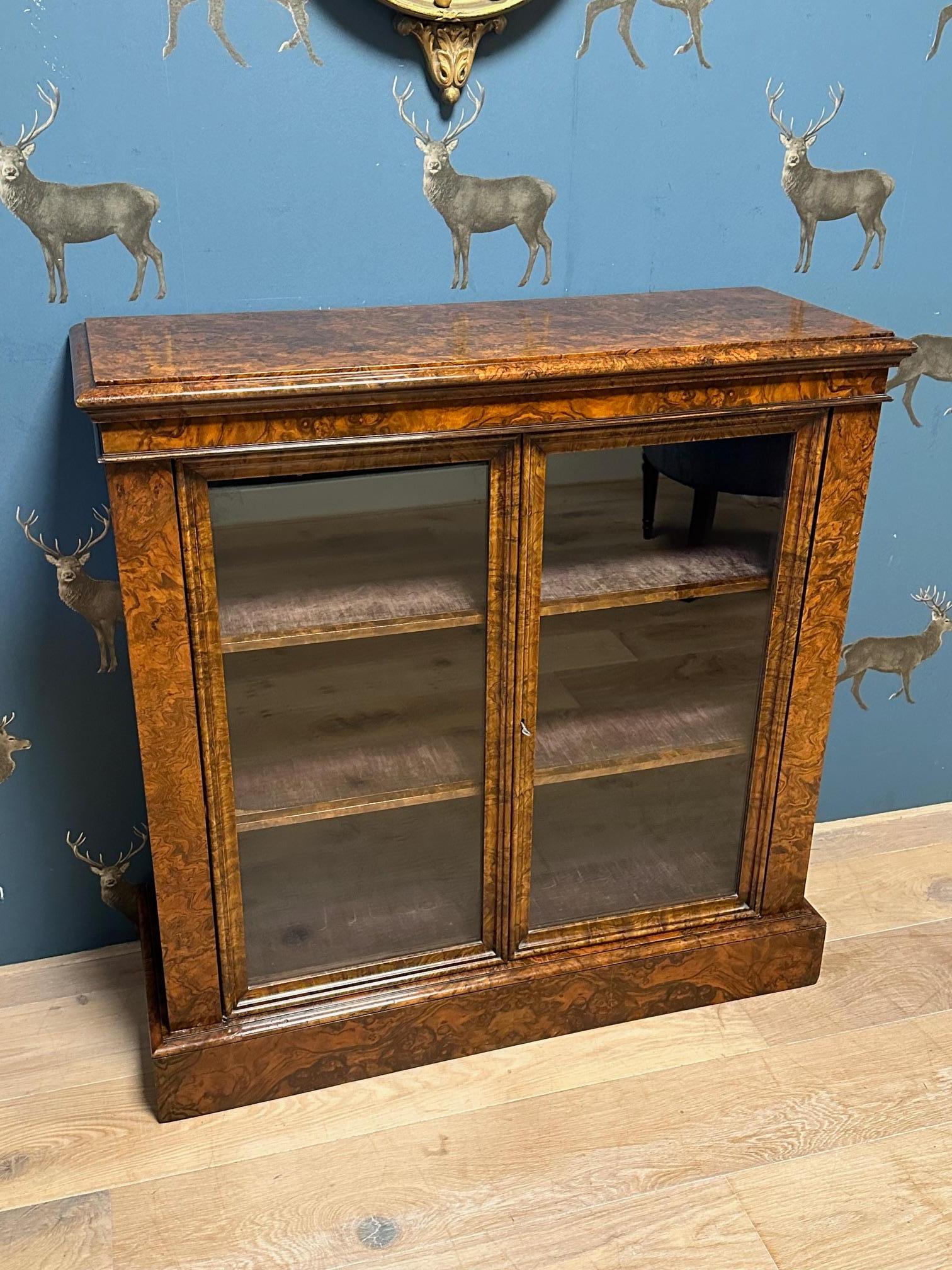 Noyer Petite bibliothèque ancienne en vente