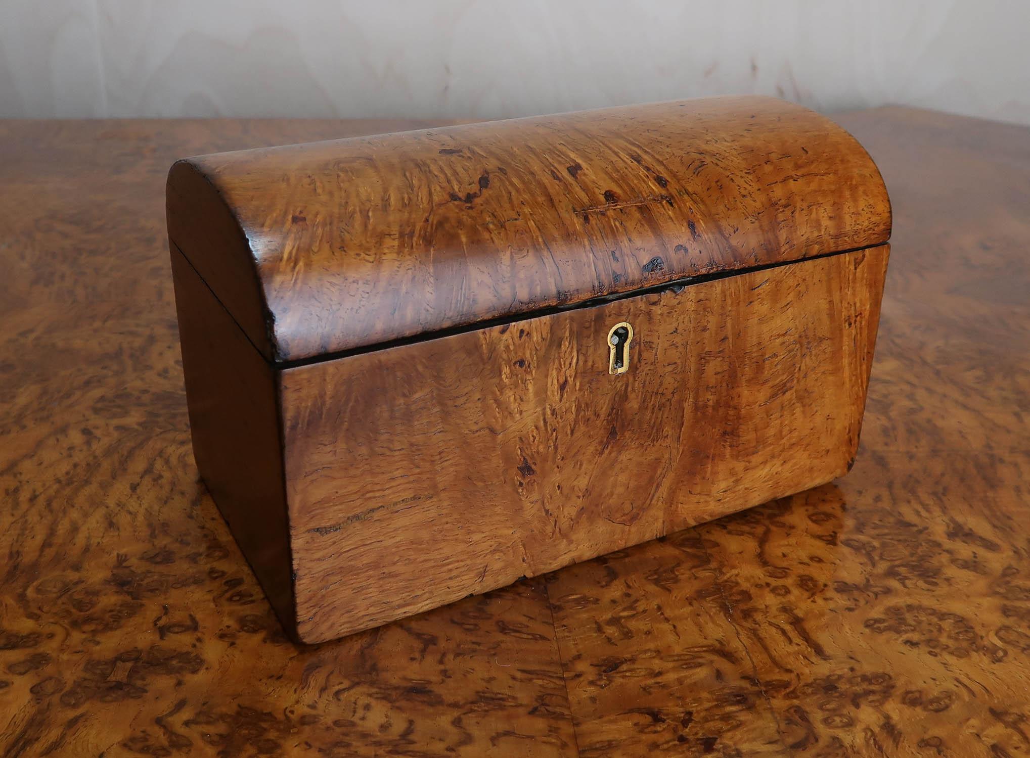 A wonderful Georgian domed top tea caddy. 

Burr oak. Sometimes called pollard oak

Lovely colour of wood

Professionally restored and polished

Free UK shipping

  