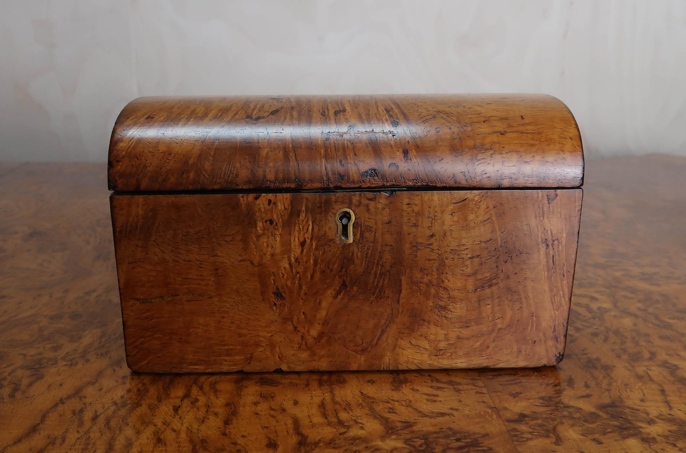 Georgian Small Antique Burr Oak Domed Top Tea Caddy. English C.1830
