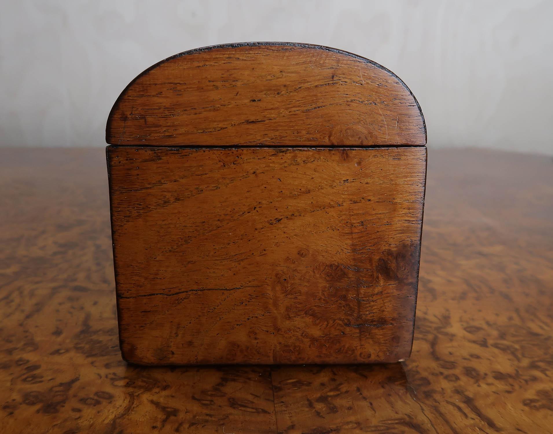 Mid-19th Century Small Antique Burr Oak Domed Top Tea Caddy. English C.1830