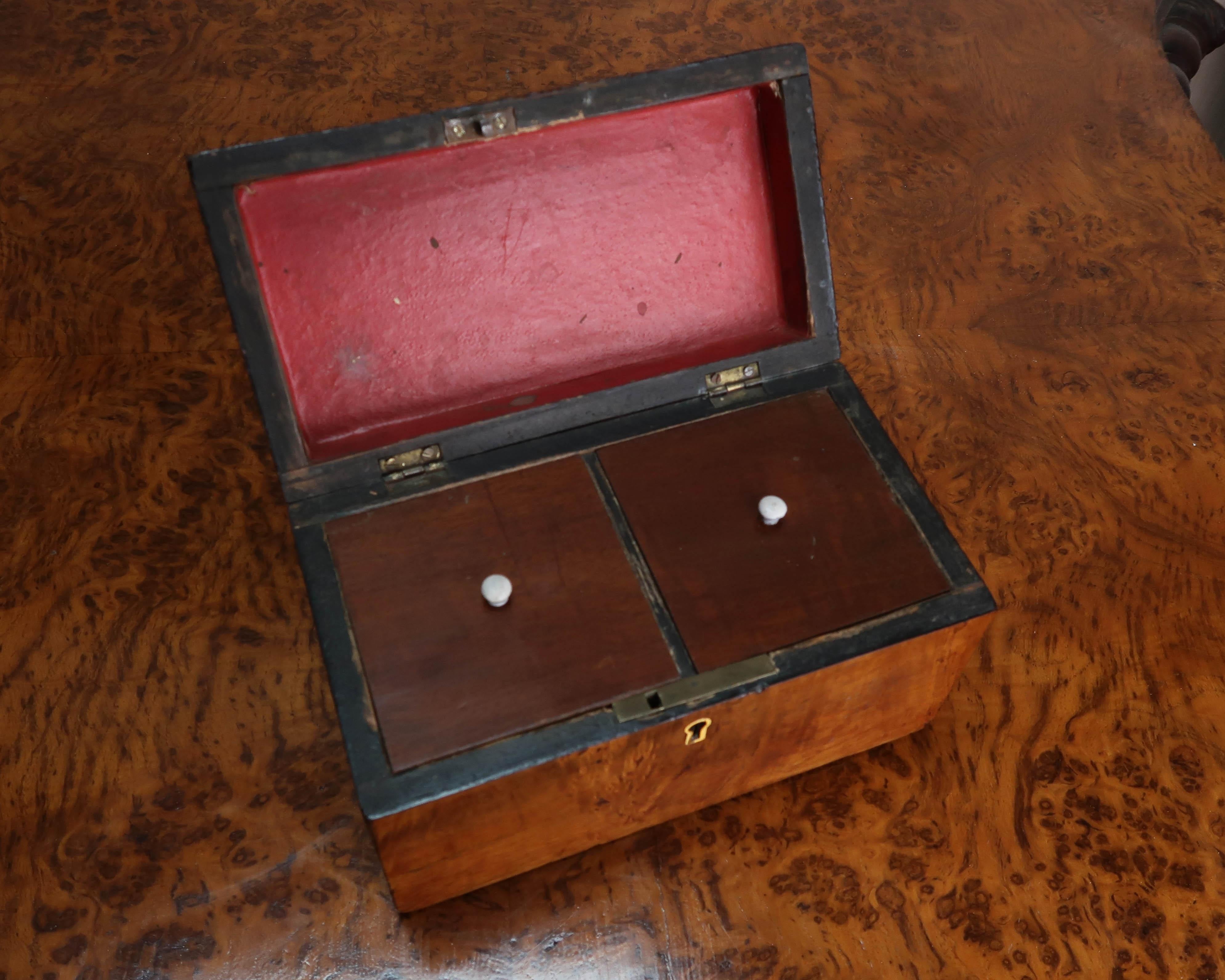 Small Antique Burr Oak Domed Top Tea Caddy. English C.1830 1