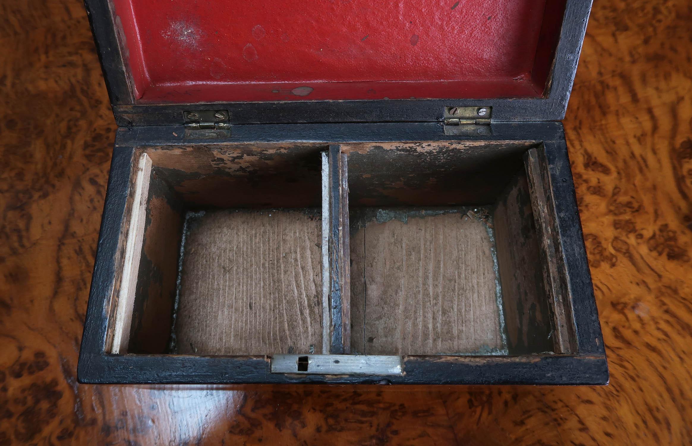 Small Antique Burr Oak Domed Top Tea Caddy. English C.1830 3