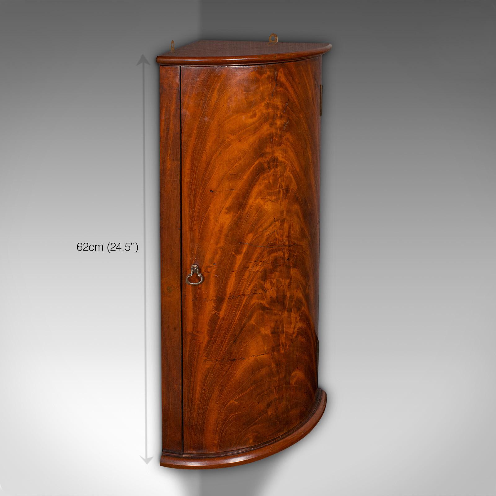Small Antique Corner Cabinet, English, Kitchen, Bathroom, Wall Cupboard C.1800 3