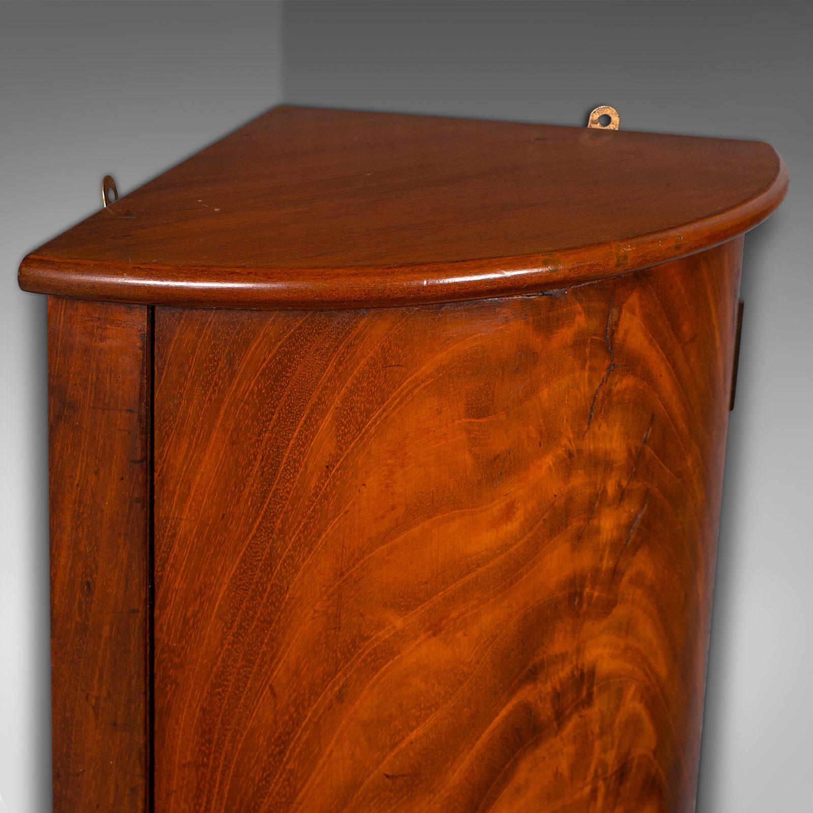 Early 19th Century Small Antique Corner Cabinet, English, Kitchen, Bathroom, Wall Cupboard C.1800