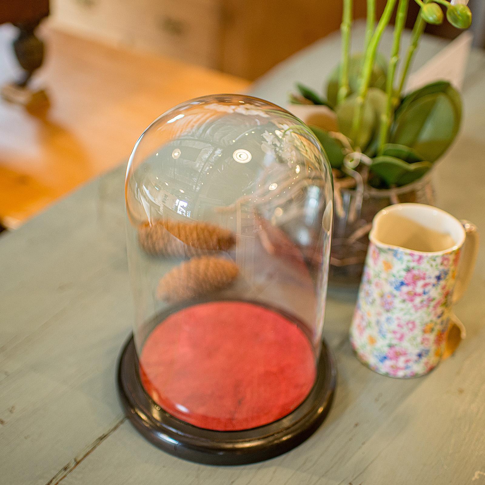 Small Antique Display Case, English, Glass, Taxidermy Dome, Victorian, C.1900 For Sale 2