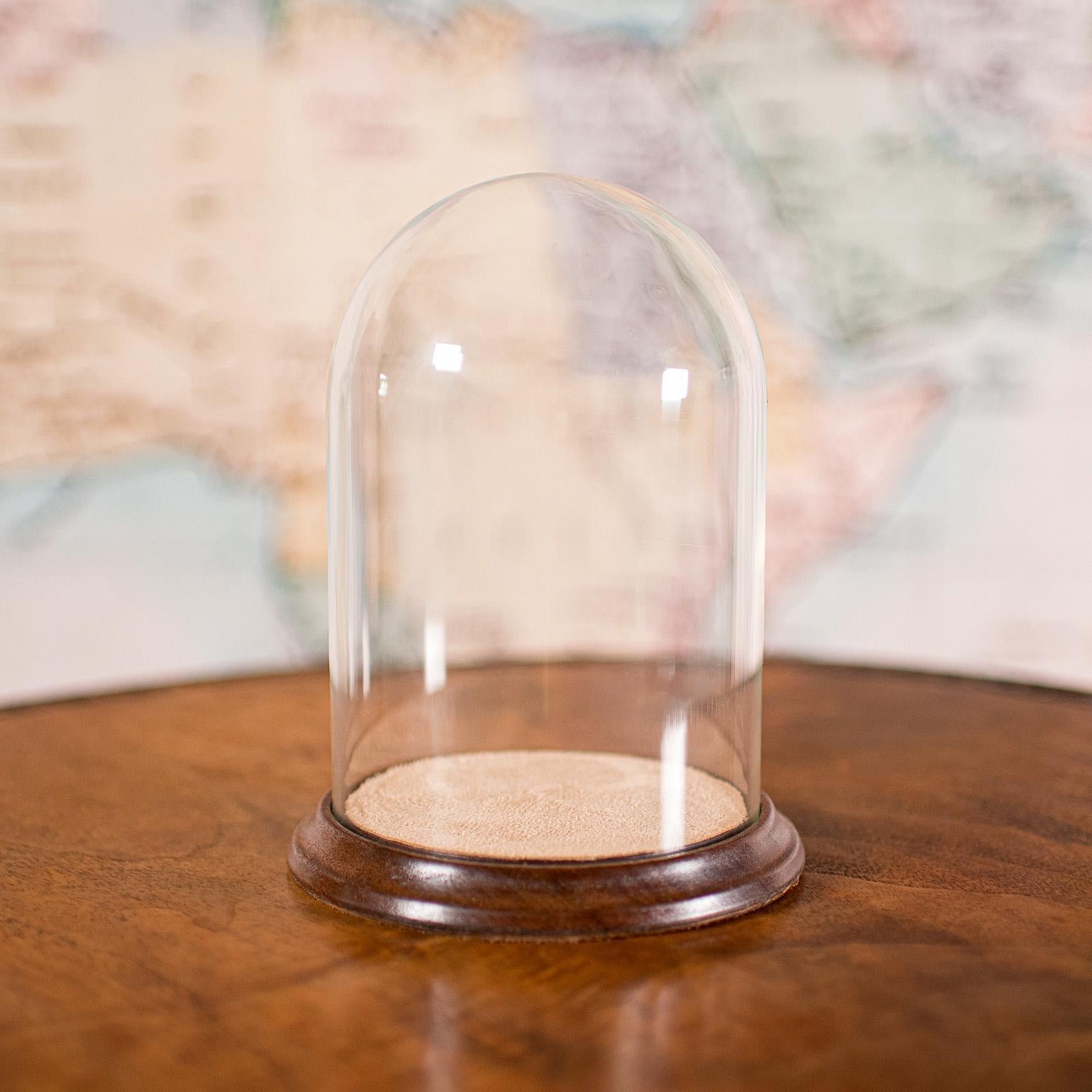 This is a small antique display dome. An English, taxidermy or ornament showcase in glass and beech, dating to the Edwardian period, circa 1910. A delightfully petite and charming piece, perfect for exhibiting cherished curios.

Superb Edwardian