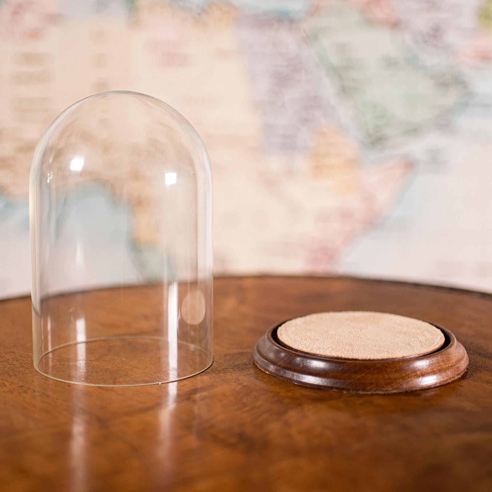 Early 20th Century Small Antique Display Dome, English, Glass, Beech, Showcase, Edwardian, C.1910 For Sale