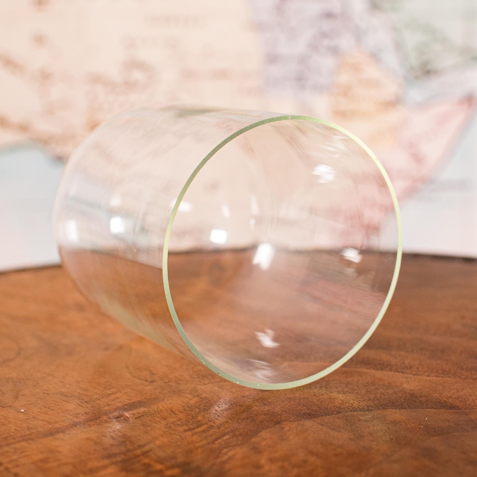Small Antique Display Dome, English, Glass, Beech, Showcase, Edwardian, C.1910 For Sale 4