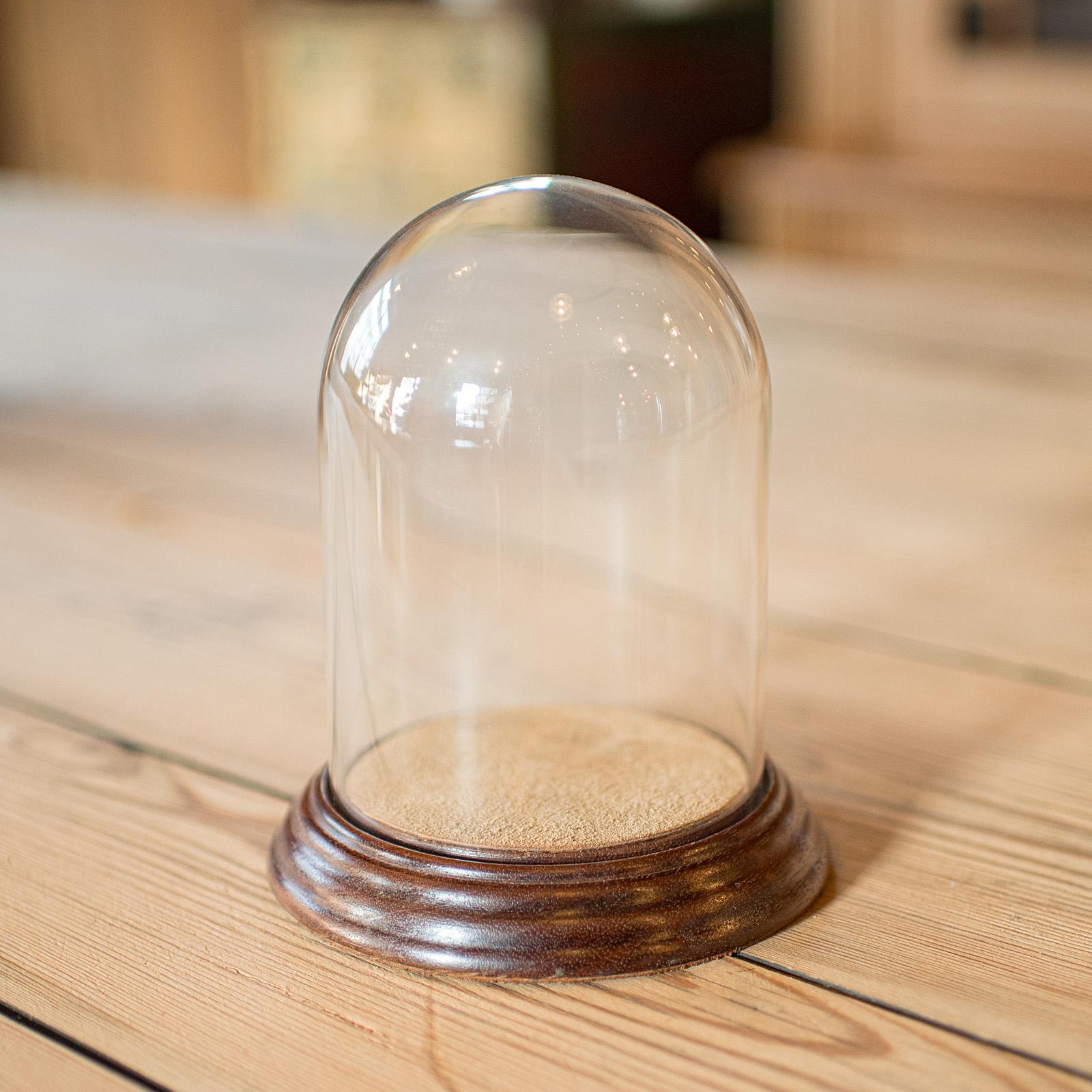 This is a charming Edwardian period display dome, offering elegant presentation for delicate ornaments or natural specimens, circa 1910. This diminutive antique glass showcase stands upon a handsome oak plinth.

Delightfully petite antique dome,